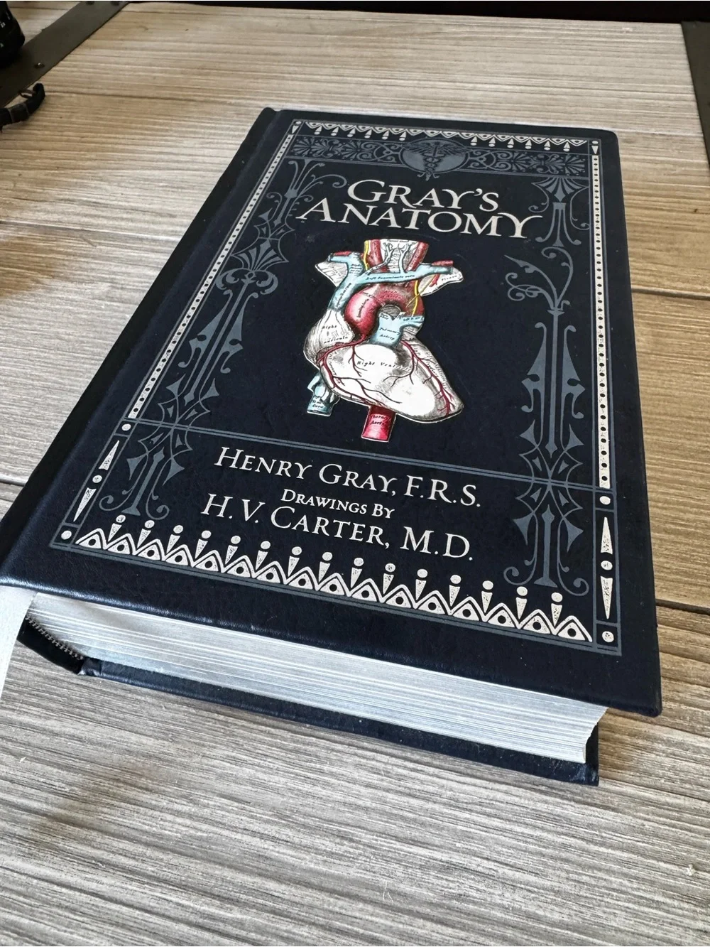 Gray's Anatomy Hardcover Illustrated Medical Book - Black Cover